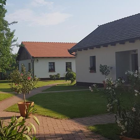 Toth Vendeghaz Es Apartmanhaz Ujfeherto Buitenkant foto