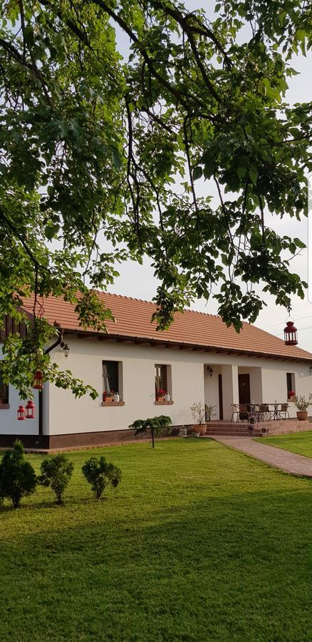 Toth Vendeghaz Es Apartmanhaz Ujfeherto Buitenkant foto